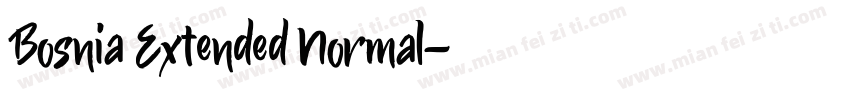 Bosnia Extended Normal字体转换
